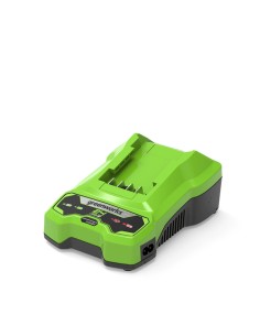 Batterie au lithium rechargeable Greenworks 2932407 220-240 V