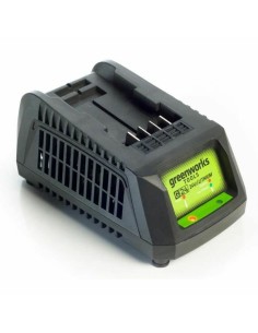 Batterie au lithium rechargeable Greenworks 2932407 220-240 V 2
