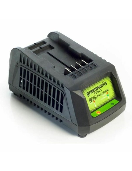 Batterie au lithium rechargeable Greenworks 2932407 220-240 V