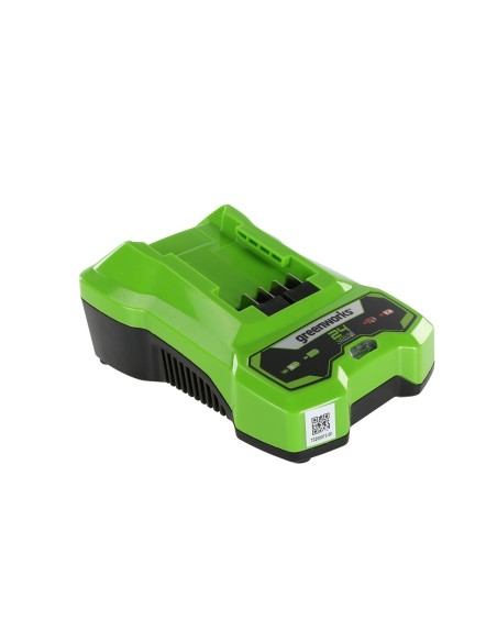 Batterie au lithium rechargeable Greenworks 2932407 220-240 V