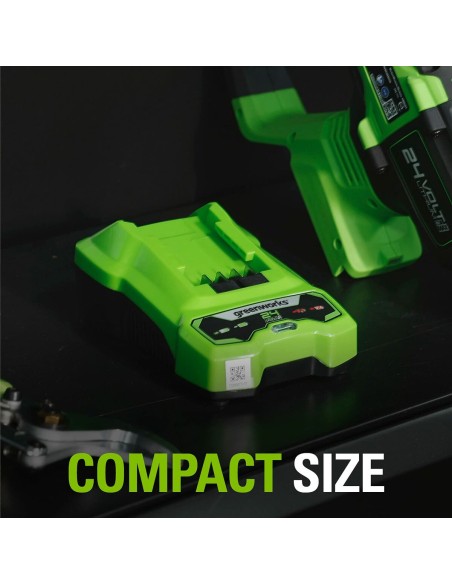 Batterie au lithium rechargeable Greenworks 2932407 220-240 V