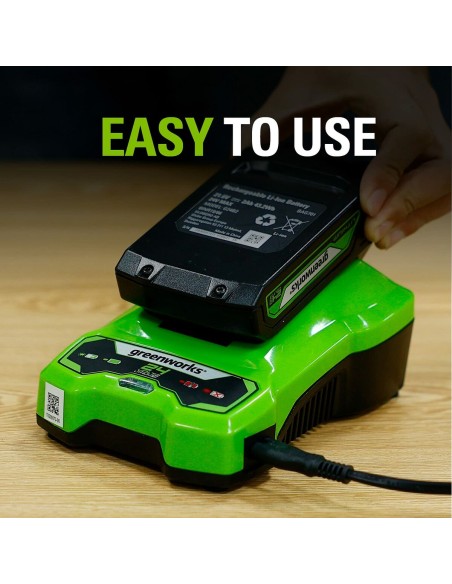 Batterie au lithium rechargeable Greenworks 2932407 220-240 V