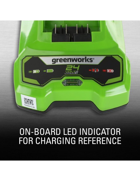 Batterie au lithium rechargeable Greenworks 2932407 220-240 V