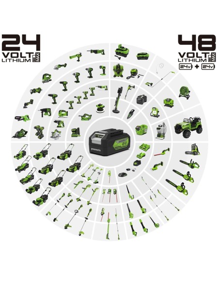 Batterie au lithium rechargeable Greenworks 2932407 220-240 V