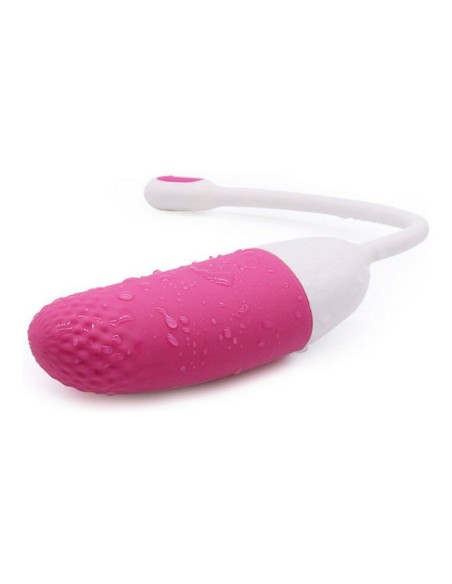 Œufs vibromasseur Magic Motion