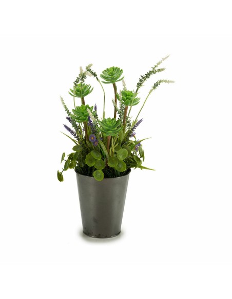 Plante décorative Ibergarden XD16-819 Liège Plastique Fleurs Campagne 20 x 41 x 20 cm (6 Unités)
