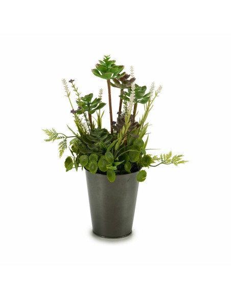 Plante décorative Ibergarden XD16-819 Liège Plastique Fleurs Campagne 20 x 41 x 20 cm (6 Unités)