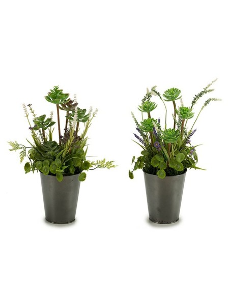 Plante décorative Ibergarden XD16-819 Liège Plastique Fleurs Campagne 20 x 41 x 20 cm (6 Unités)