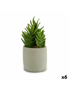 Plante décorative Ibergarden YCX17941 Plastique Succulent 12 x 24 x 12 cm (6 Unités)