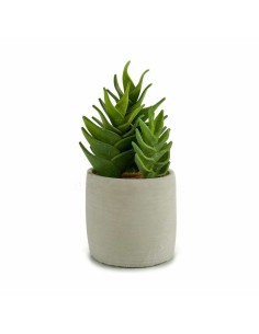 Plante décorative Ibergarden YCX17941 Plastique Succulent 12 x 24 x 12 cm (6 Unités) 2