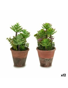 Plante décorative Ibergarden XD16-849 Plastique Succulent 16 x 23 x 16 cm (12 Unités)