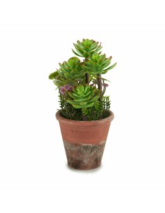 Plante décorative Ibergarden XD16-849 Plastique Succulent 16 x 23 x 16 cm (12 Unités) 2