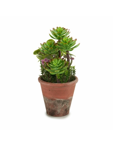 Plante décorative Ibergarden XD16-849 Plastique Succulent 16 x 23 x 16 cm (12 Unités)