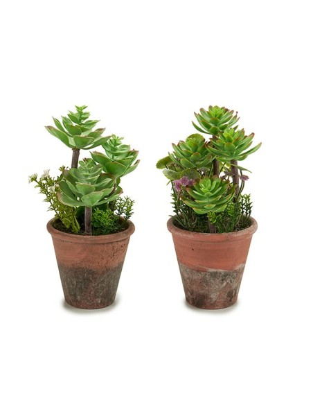 Plante décorative Ibergarden XD16-849 Plastique Succulent 16 x 23 x 16 cm (12 Unités)