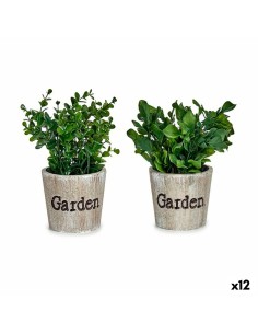 Plante décorative Ibergarden XD16-710 Plastique 16 x 22 x 16 cm (12 Unités)