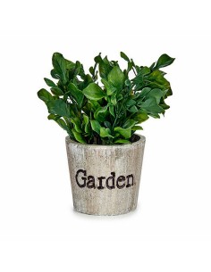 Plante décorative Ibergarden XD16-710 Plastique 16 x 22 x 16 cm (12 Unités) 2