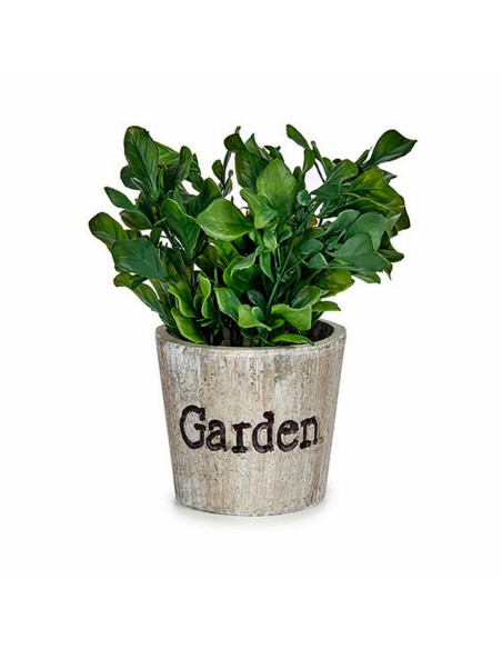 Plante décorative Ibergarden XD16-710 Plastique 16 x 22 x 16 cm (12 Unités)