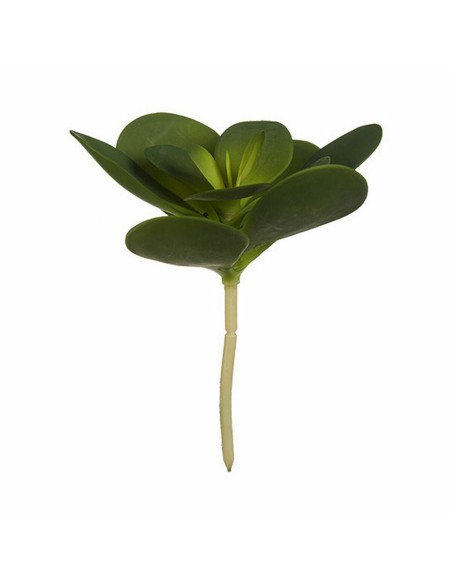 Plante décorative Ibergarden YD180205 Plastique Volets Ronde 18 x 23 x 18 cm (6 Unités)