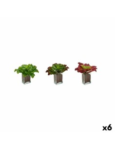 Plante décorative Ibergarden YD180208 Plastique Volets Grand 31 x 24 x 31 cm Bicolore (6 Unités)