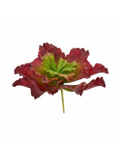 Plante décorative Ibergarden YD180208 Plastique Volets Grand 31 x 24 x 31 cm Bicolore (6 Unités) 2