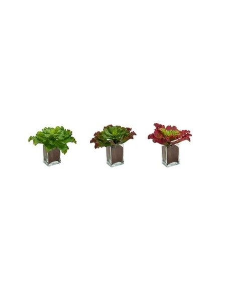 Plante décorative Ibergarden YD180208 Plastique Volets Grand 31 x 24 x 31 cm Bicolore (6 Unités)