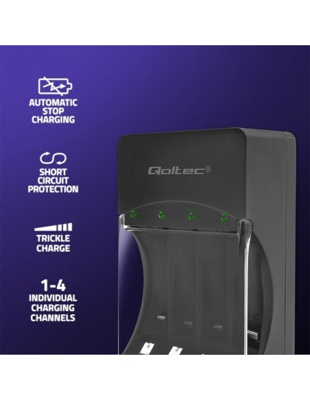 Chargeur de batterie Qoltec 50653