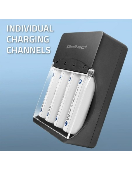 Chargeur de batterie Qoltec 50653