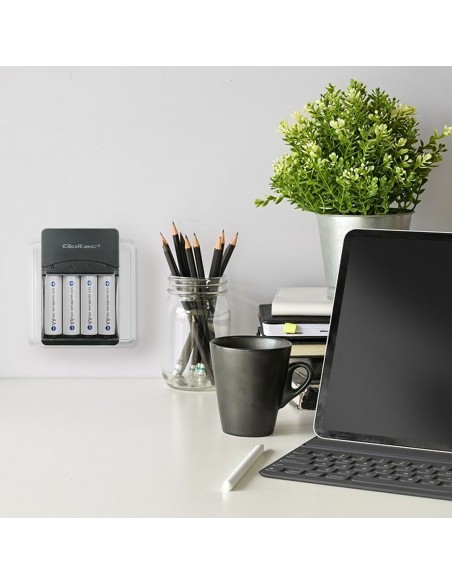 Chargeur de batterie Qoltec 50653