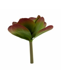 Plante décorative Ibergarden YD0001 Plastique Volets Grand 27 x 29 x 27 cm Bicolore (6 Unités) 2