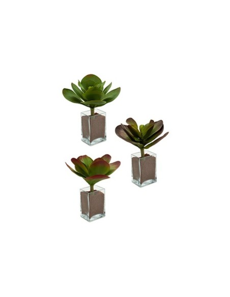 Plante décorative Ibergarden YD0001 Plastique Volets Grand 27 x 29 x 27 cm Bicolore (6 Unités)