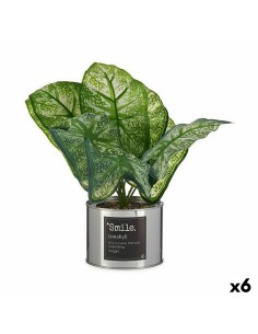 Plante décorative Ibergarden HY2-90 Métal Plastique Caladium 26 x 26 x 26 cm (6 Unités)