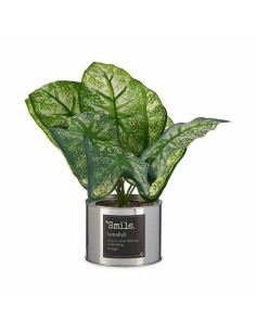 Plante décorative Ibergarden HY2-90 Métal Plastique Caladium 26 x 26 x 26 cm (6 Unités) 2