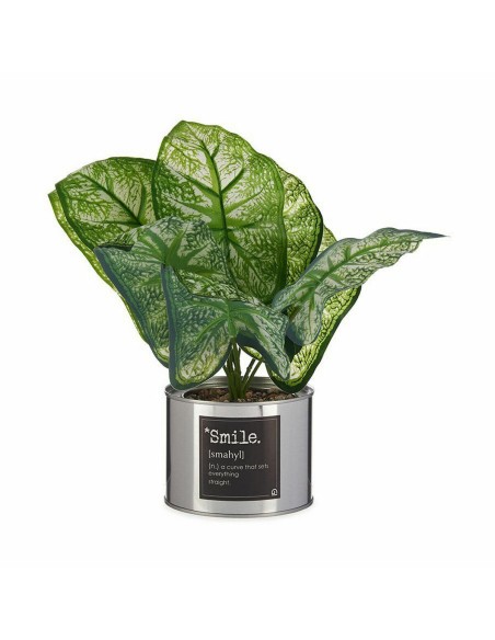 Plante décorative Ibergarden HY2-90 Métal Plastique Caladium 26 x 26 x 26 cm (6 Unités)