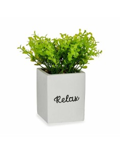 Plante décorative Ibergarden HY2-39 Plastique Ciment Volets Petit 13 x 18 x 13 cm (6 Unités) 2