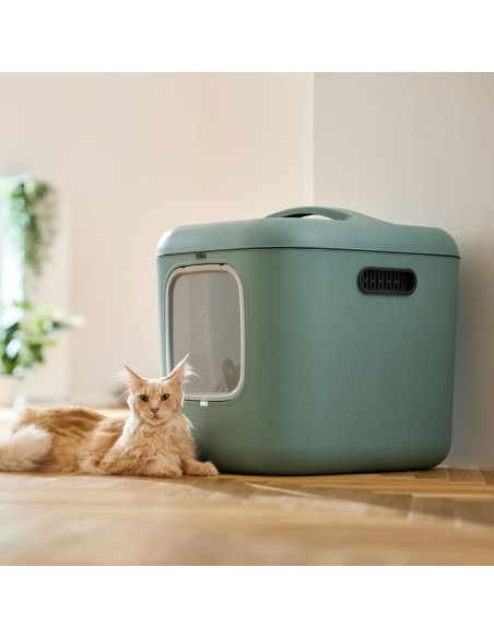 Bac à litière pour chats Rotho Vert Plastique