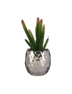 Plante décorative Ibergarden HY2-44 Céramique Plastique Cactus 10 x 20 x 10 cm (6 Unités) 2