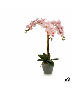 Plante décorative Ibergarden A18124-71-3 Plastique Orchidée 29 x 78 x 35 cm 60 x 78 x 44 cm (2 Unités)