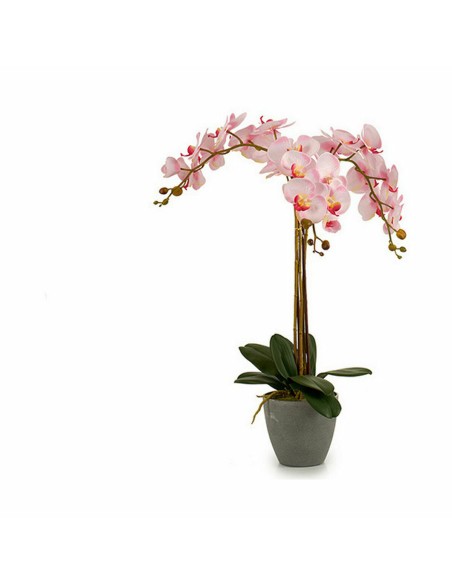 Plante décorative Ibergarden A18124-71-3 Plastique Orchidée 29 x 78 x 35 cm 60 x 78 x 44 cm (2 Unités)