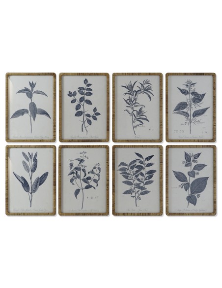 Cadre DKD Home Decor Moderne Plantes botaniques 50 x 2,5 x 70 cm (8 Unités)