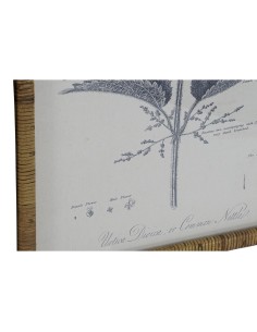 Cadre DKD Home Decor Moderne Plantes botaniques 50 x 2,5 x 70 cm (8 Unités) 2