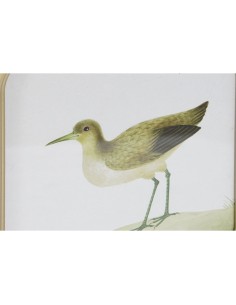 Cadre DKD Home Decor Oiseaux Cottage 30 x 2 x 30 cm (6 Unités) 2
