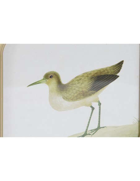 Cadre DKD Home Decor Oiseaux Cottage 30 x 2 x 30 cm (6 Unités)