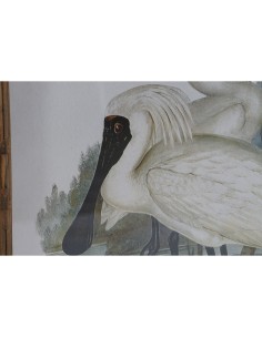 Cadre DKD Home Decor Oiseaux Oriental 45 x 3 x 60 cm (4 Unités) 2