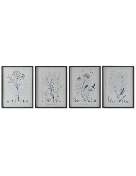 Cadre DKD Home Decor Moderne Plantes botaniques 45 x 2,5 x 60 cm (4 Unités)