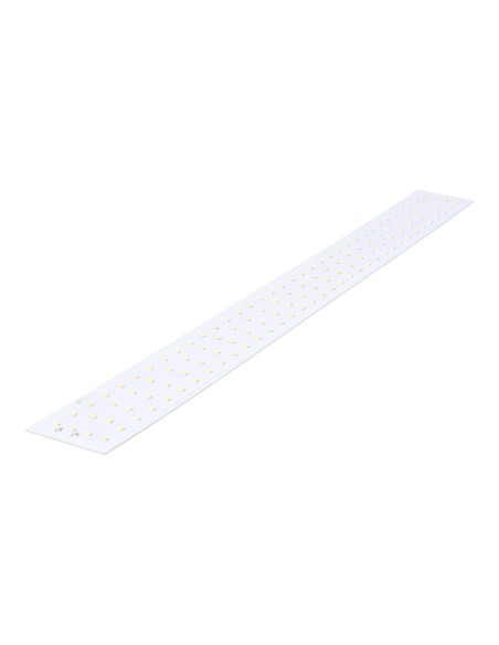 LED EDM 02040 31681 Rechange