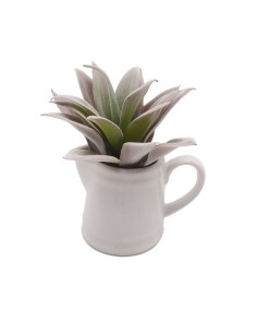 Plante décorative Versa Céramique Plastique 11,43 x 11,94 x 11,43 cm