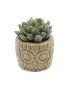 Plante décorative Versa Céramique Plastique 7,62 x 10,16 x 7,62 cm