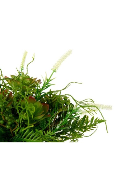Plante décorative Ibergarden XD19-1369 Plastique Verre 21 x 30 x 21 cm (6 Unités)