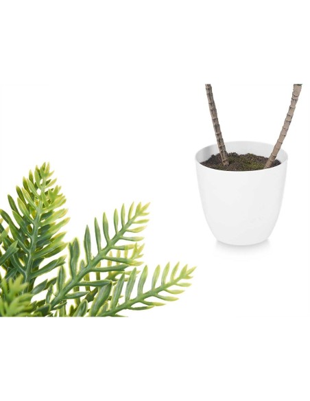 Plante décorative Ibergarden XD19-1327 Plastique Palmier 36 x 55,5 x 24 cm (6 Unités)