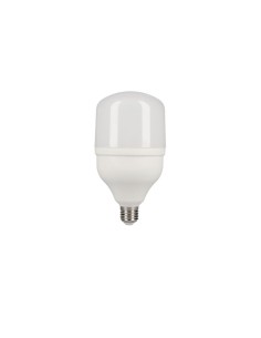 Lampe LED EDM 98833 F 30 W E27 2400 Lm Ø 10 x 20 cm (6400 K)